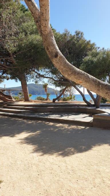 Castel Du Soleil, Bord De Mer, 4 Pers Saint-Cyr-sur-Mer Eksteriør bilde
